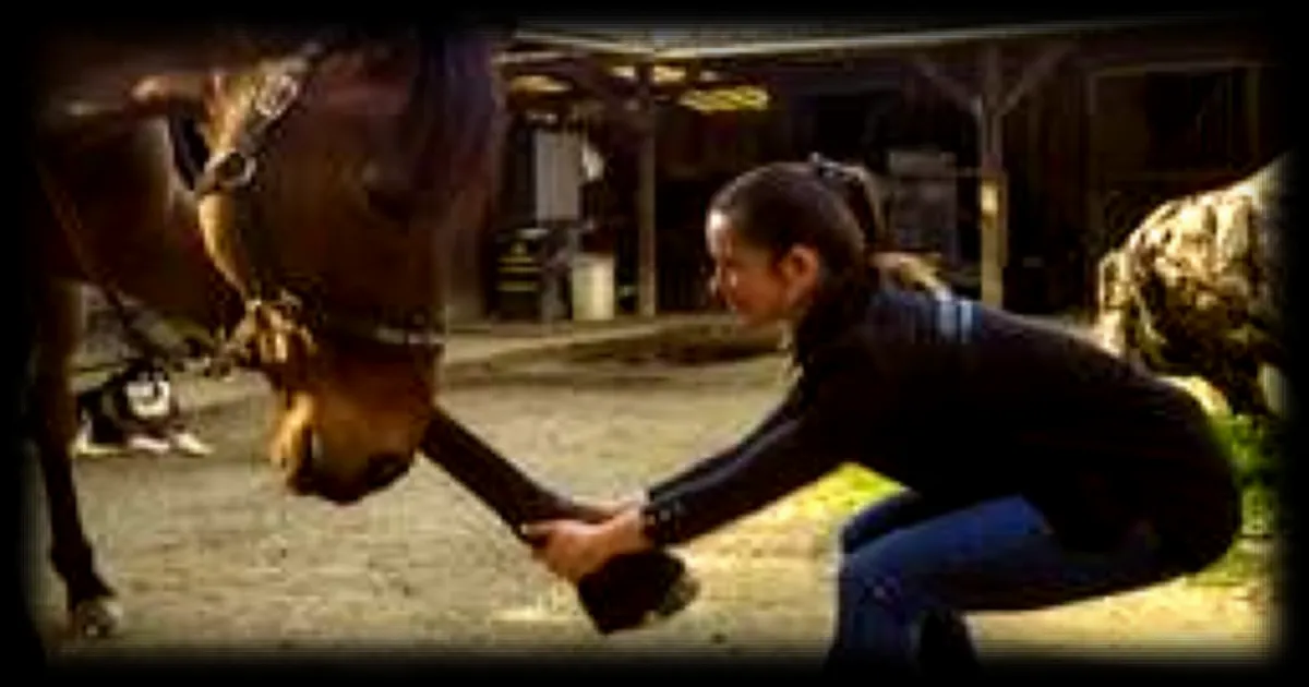 Elle est ostéopathe pour animaux : Clara Fredureau, une spécialiste pour chevaux et animaux de compagnie