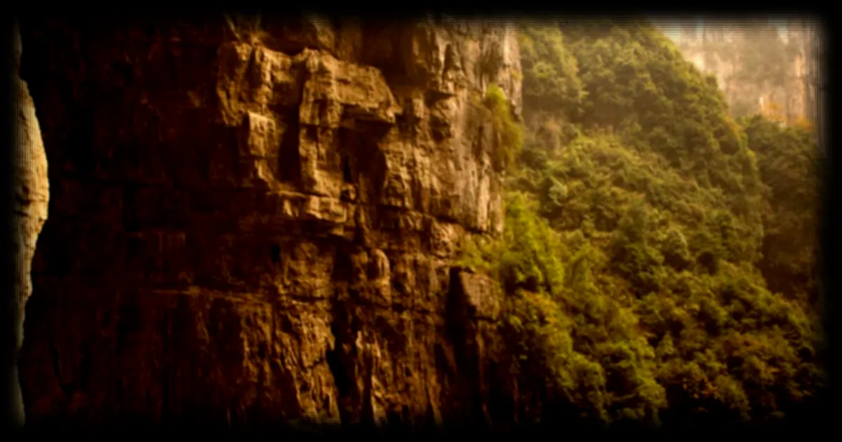 En Chine, un gouffre géant abrite une forêt subtropicale vieille de 128 000 ans