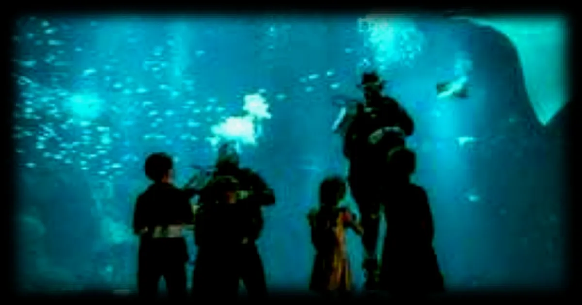 En mars, l'aquarium Nausicaá de Boulogne-sur-Mer offre l'entrée gratuite aux enfants nés sous le signe des Poissons