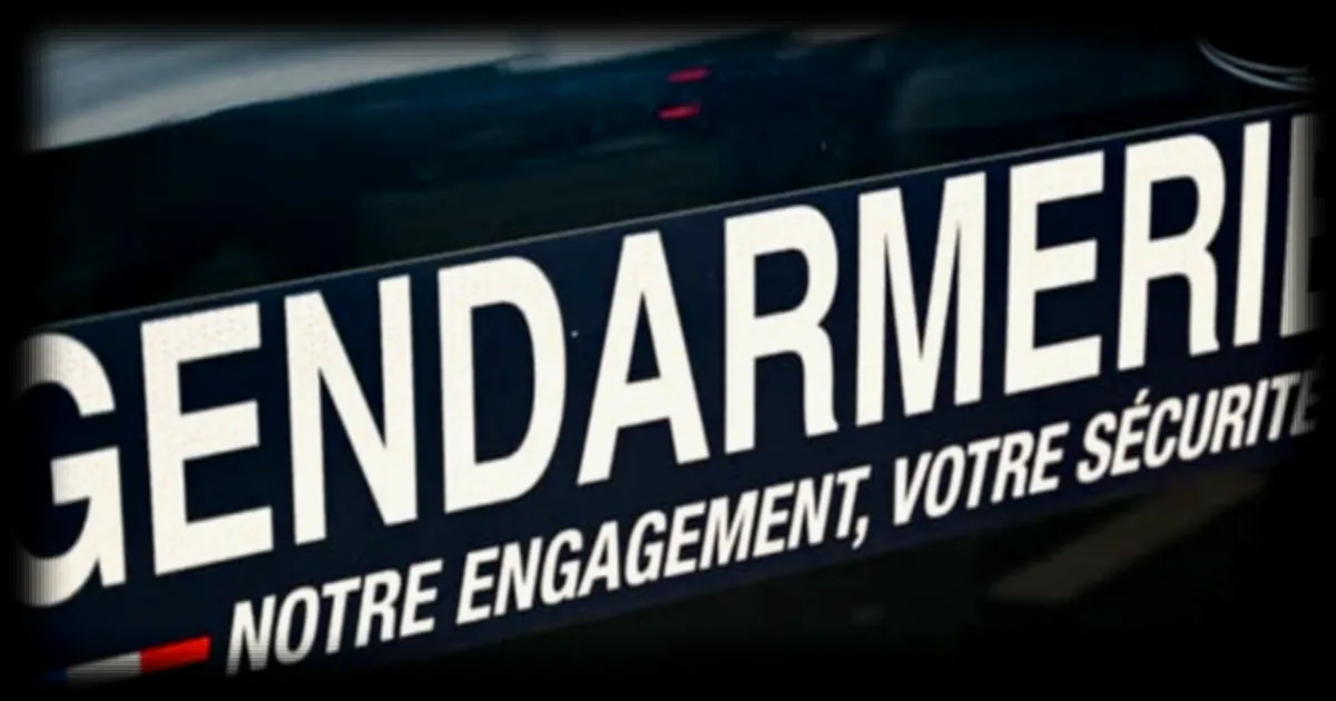 Enfant attaqué par deux chiens dans l'Oise : son pronostic vital n'est plus engagé