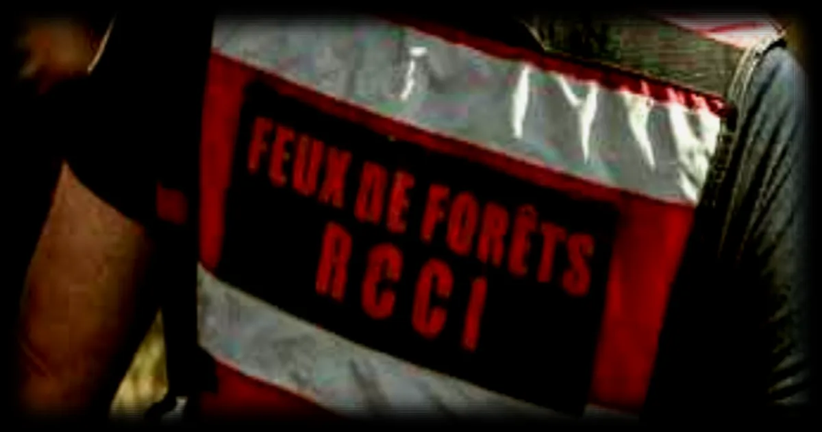 Enquête sur les feux de forêt : les méthodes des gendarmes pour identifier les pyromanes
