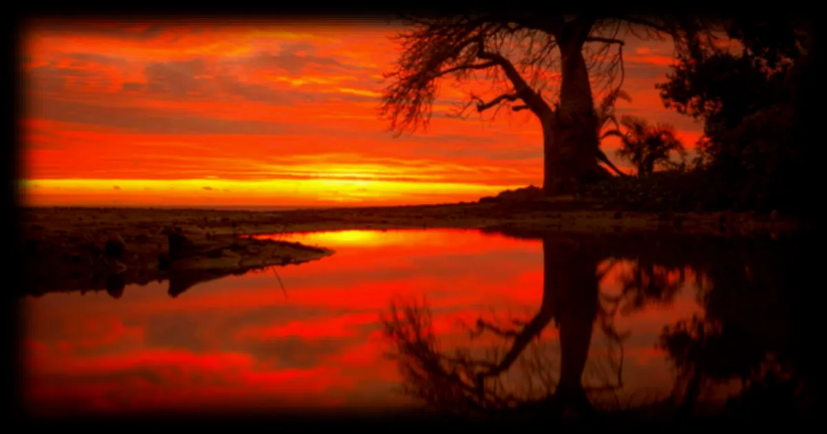 Escales : une expérience immersive et musicale pour voyager autrement