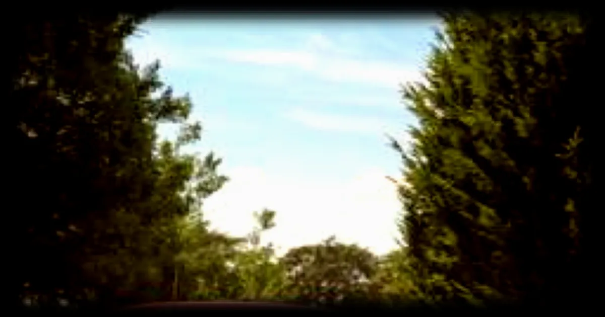 Escroquerie à la vente d'une voiture de collection : un habitant du Lion-d'Angers victime d'un chèque sans provision