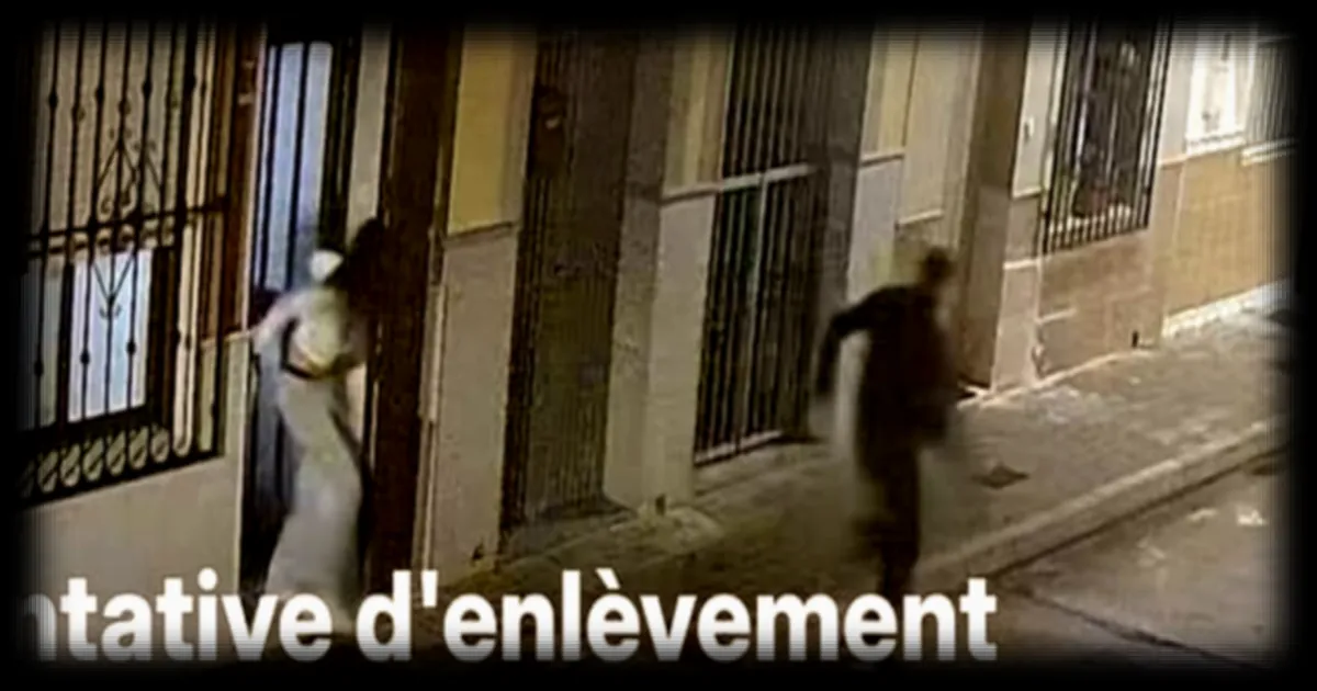 Espagne : quatre personnes arrêtées après une tentative d'enlèvement déjouée par le chien de la victime