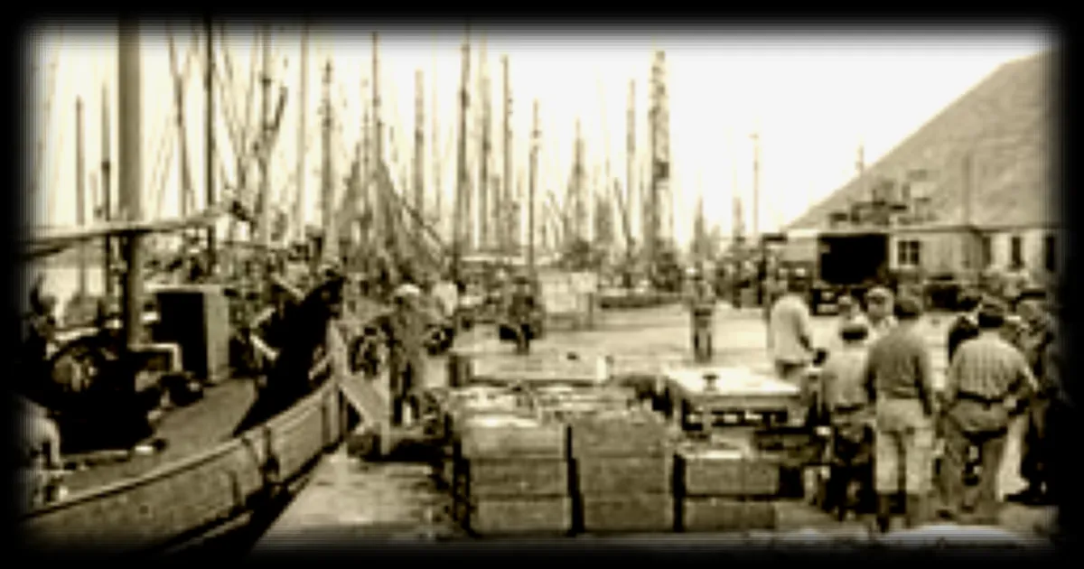 Étel, ancienne capitale française de la pêche au thon : l’héritage maritime d’un petit port breton