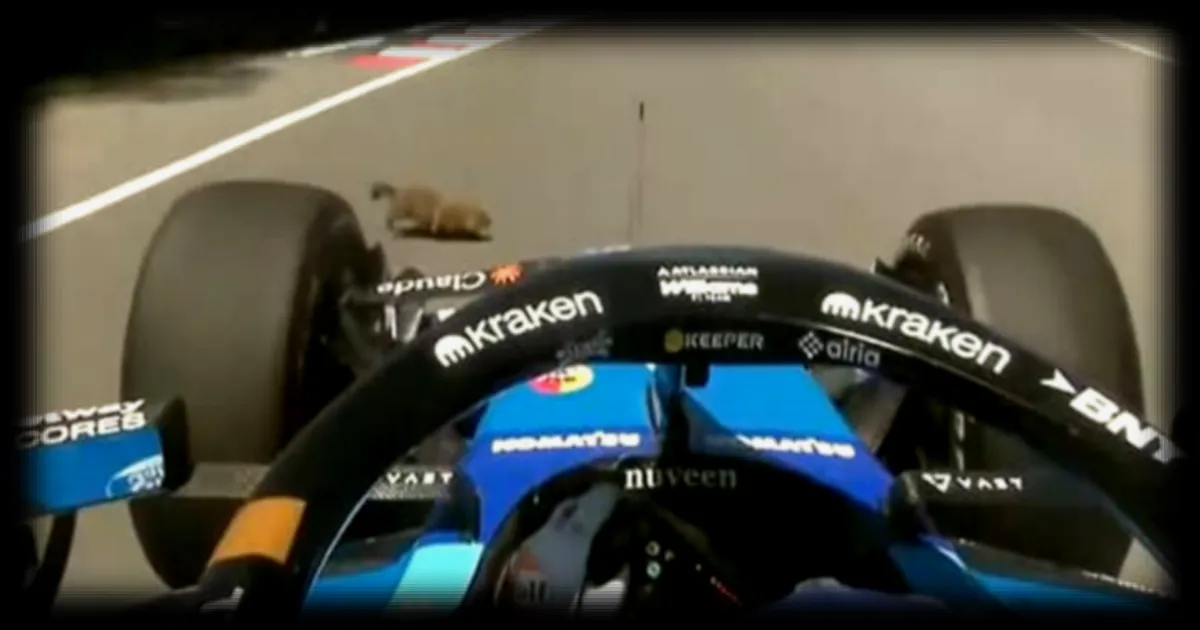 F1 – GP du Canada : Alex Albon percute un mur après avoir écrasé une marmotte lors des essais libres