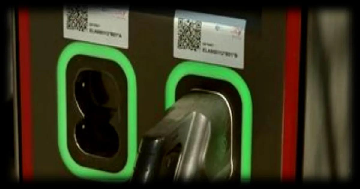 Face à la crise des carburants, les Allemands se tournent vers les véhicules électriques