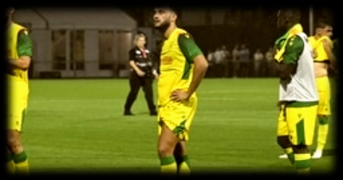 FC Nantes : les Canaris déçus après leur revers à Laval
