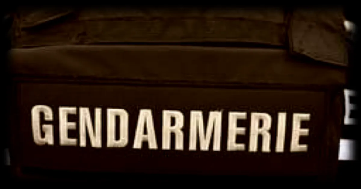 Femme blessée par un tir d’arme de chasse dans le nord : pronostic vital toujours engagé, son conjoint écroué