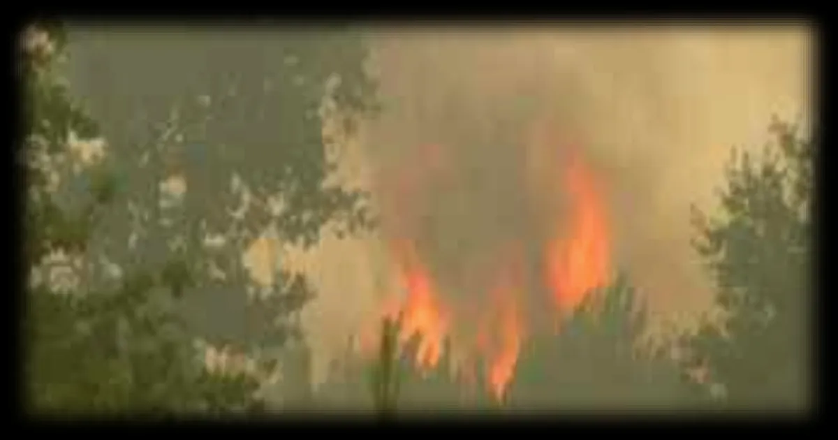 Feu de forêt en Gironde : le front de flammes à 15 km de Bordeaux, 42 000 hectares brûlés