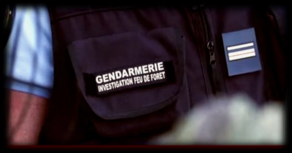 Feux criminels : les enquêteurs traquent les pyromanes après plusieurs départs de feu volontaires en France
