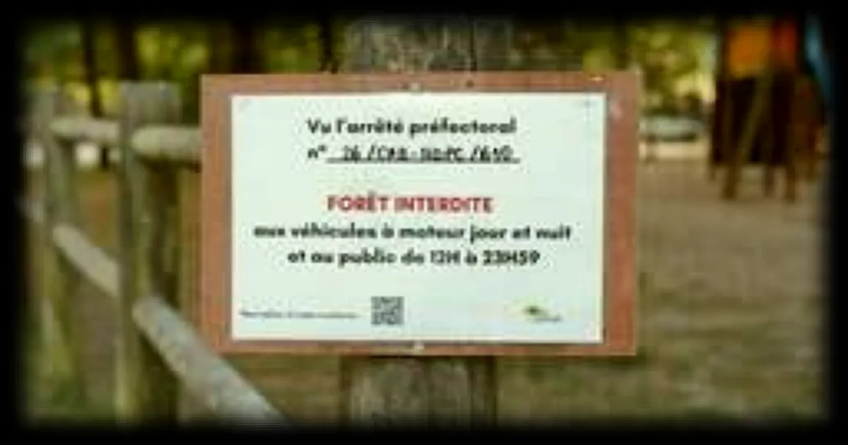 Feux de forêt : 35 départements placés en risque élevé, une première en France