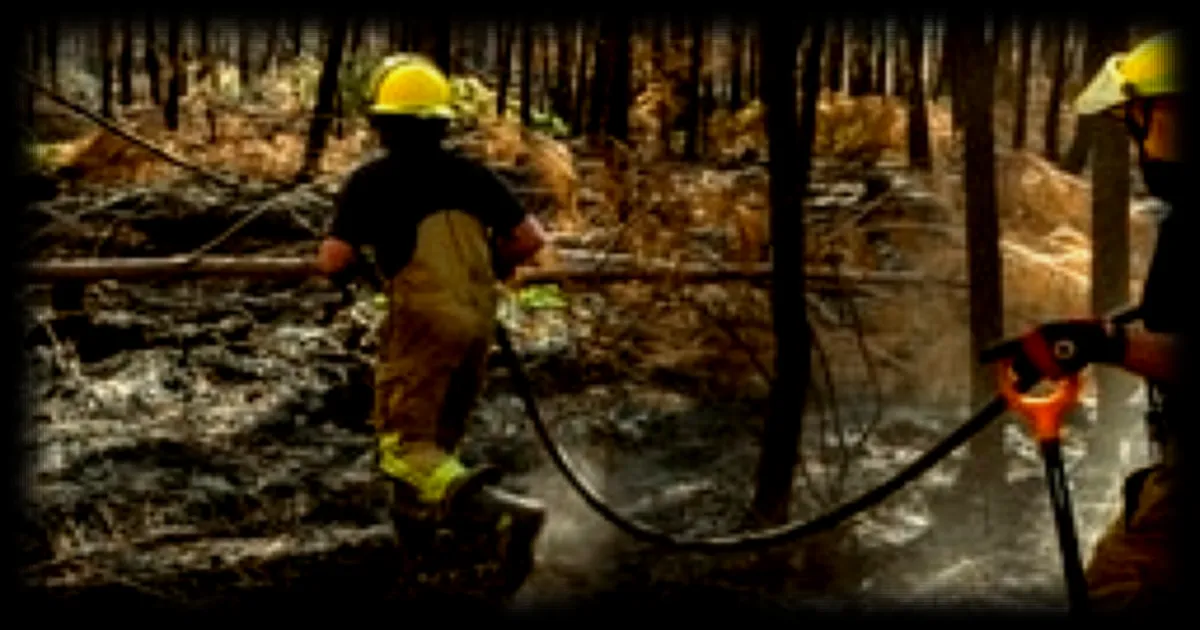 Feux de forêt : 370 hectares brûlés et 4 pompiers blessés dans la Drôme, 20 maisons évacuées en Lozère