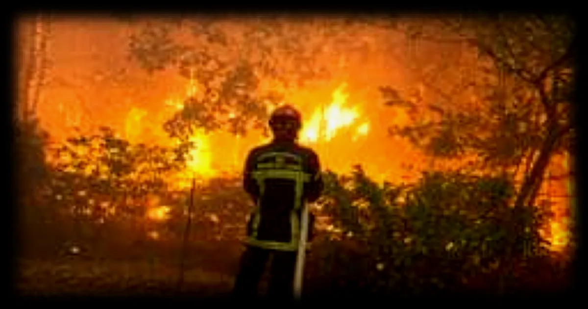 Feux de forêt : cinq départements en alerte orange pour risque d'incendie ce week-end