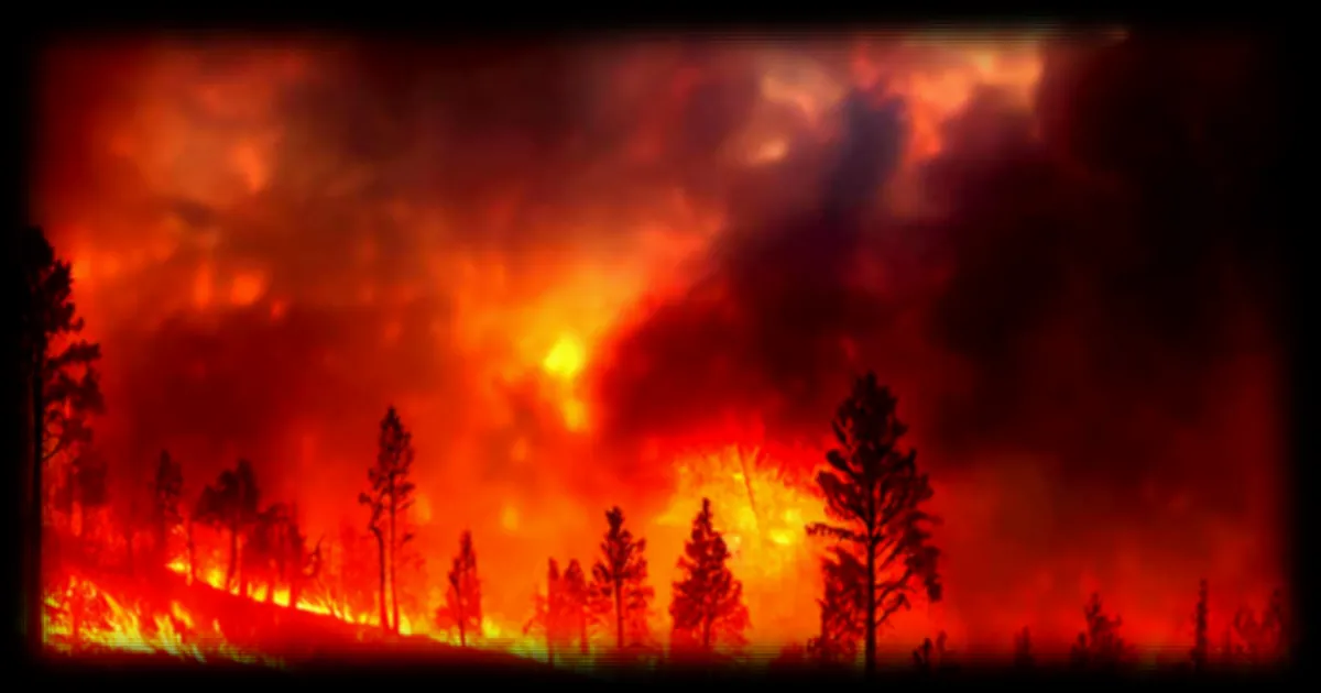 Feux de forêt en France : 116 000 hectares brûlés avant août, un record historique