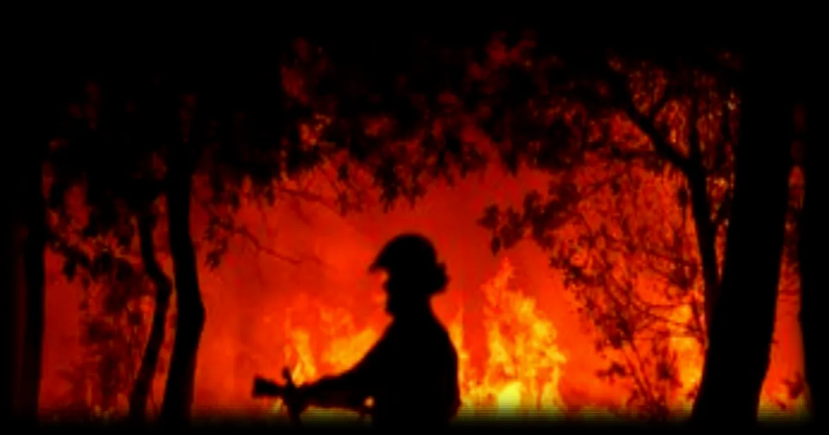 Feux de forêt précoces : les pompiers sous tension dès le début de l'été
