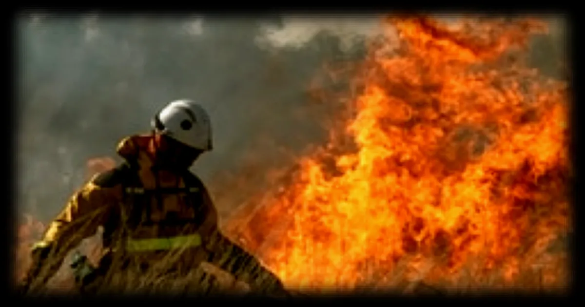 Feux « zombies » : ces incendies souterrains qui persistent après les départs de flammes