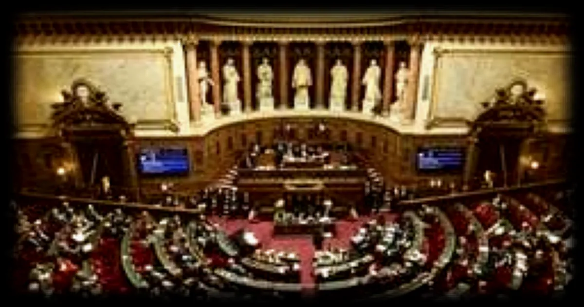 Fin de vie : le Sénat relance l'examen des propositions de loi dans un climat d'incertitude