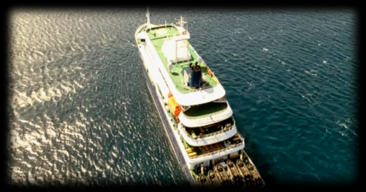 Foyer présumé d'hantavirus sur une croisière : trois morts recensés, cinq Français à bord