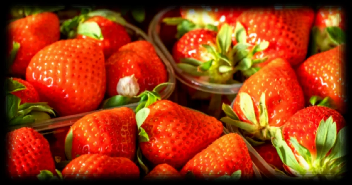 Fraises espagnoles en tête des fruits les plus contaminés aux pesticides selon une analyse de Top Santé