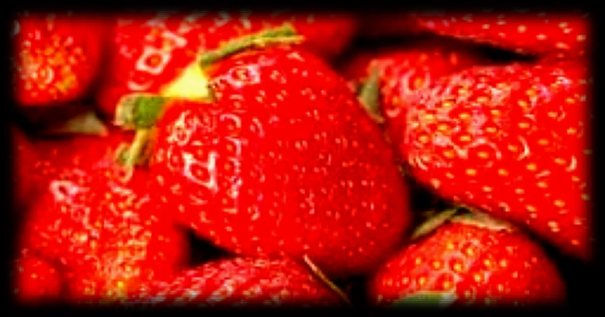 Fraises mariguettes ou gariguettes : les différences entre ces deux variétés phares de la saison
