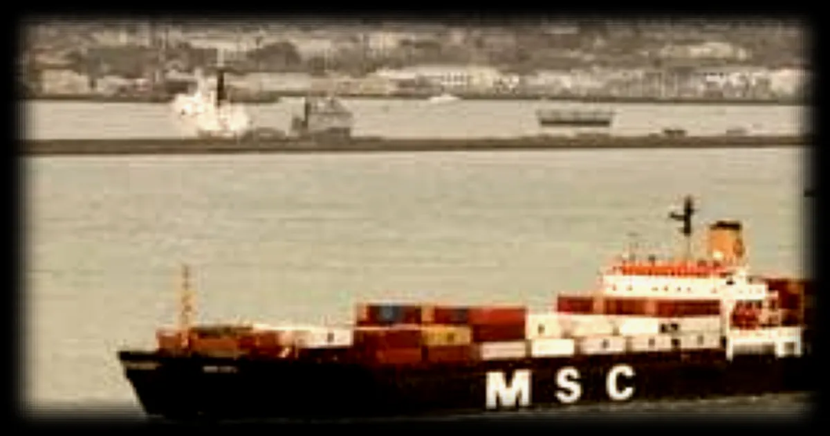 France Poultry face à la guerre en exportant du poulet vers le Moyen-Orient