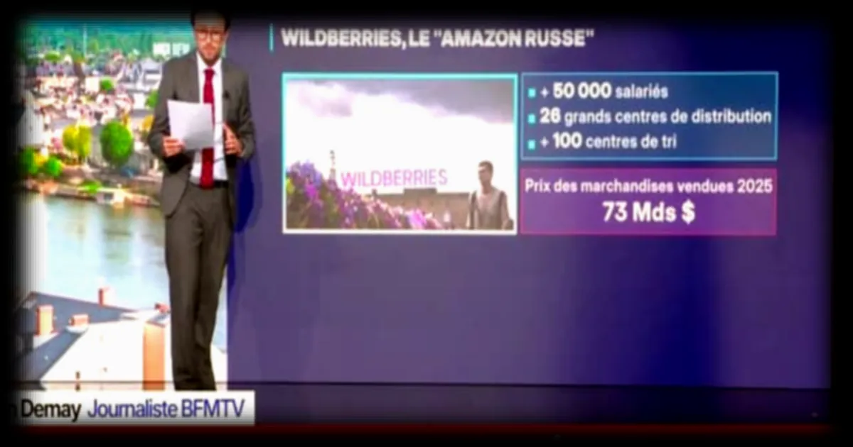 Frappes ukrainiennes sur Wildberries, la plateforme e-commerce russe : un nouveau front dans la guerre économique