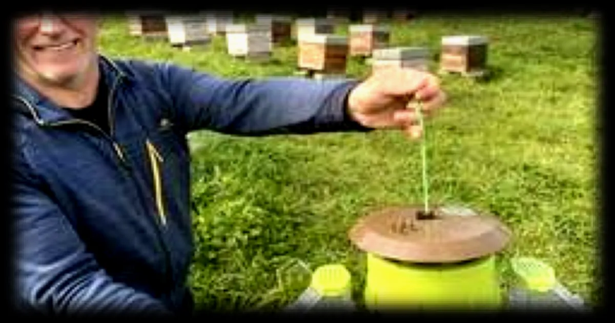 Frelon asiatique : la filière apicole et les pouvoirs publics unissent leurs forces contre l'invasion