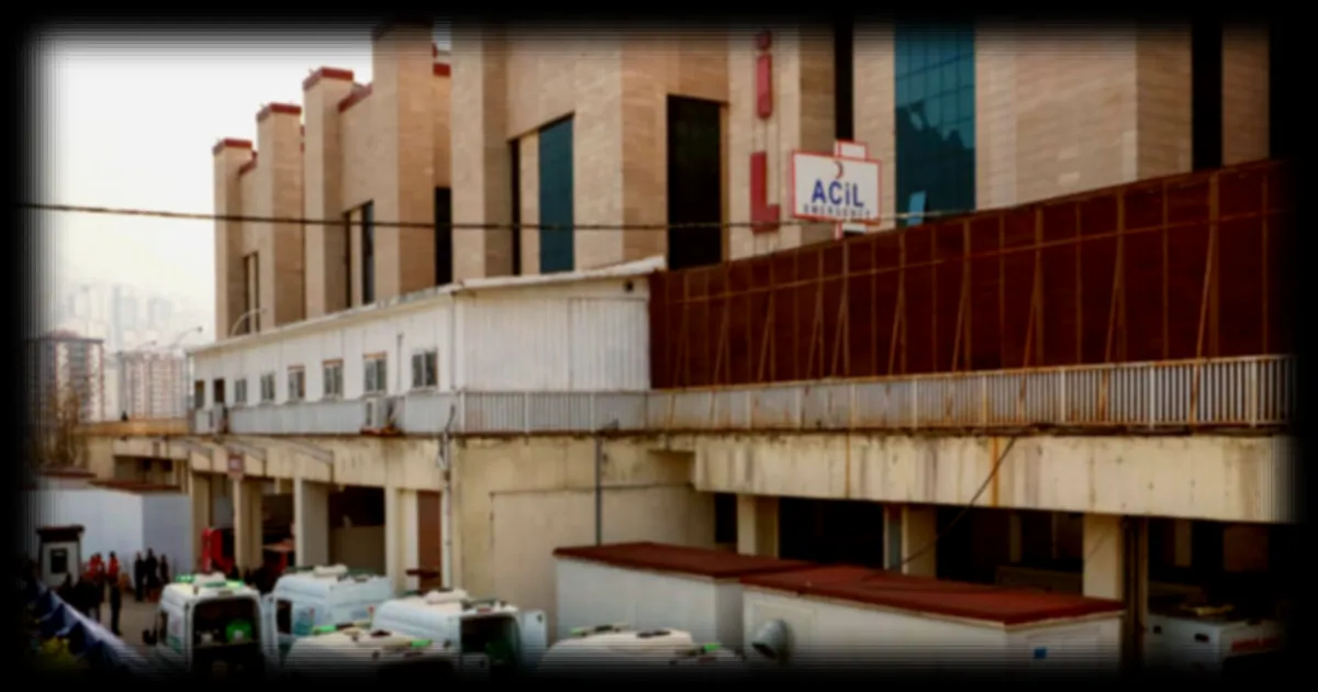 Fusillades scolaires en Turquie : 83 arrestations pour apologie en ligne