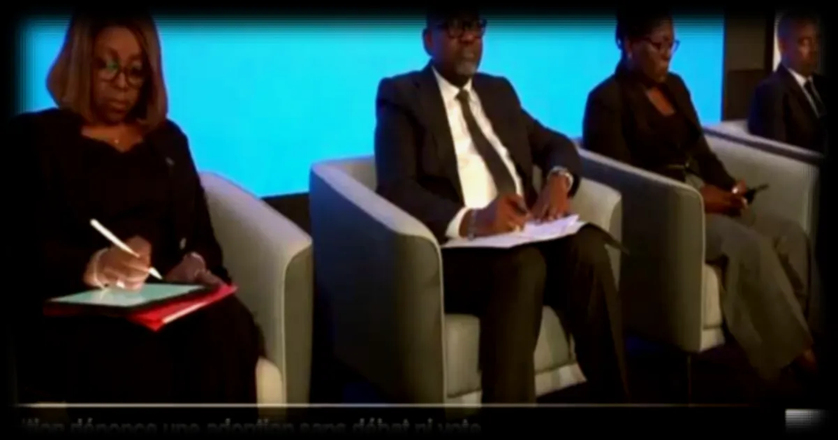 Gabon : l'opposition dénonce une réforme du code de la nationalité sans débat ni vote