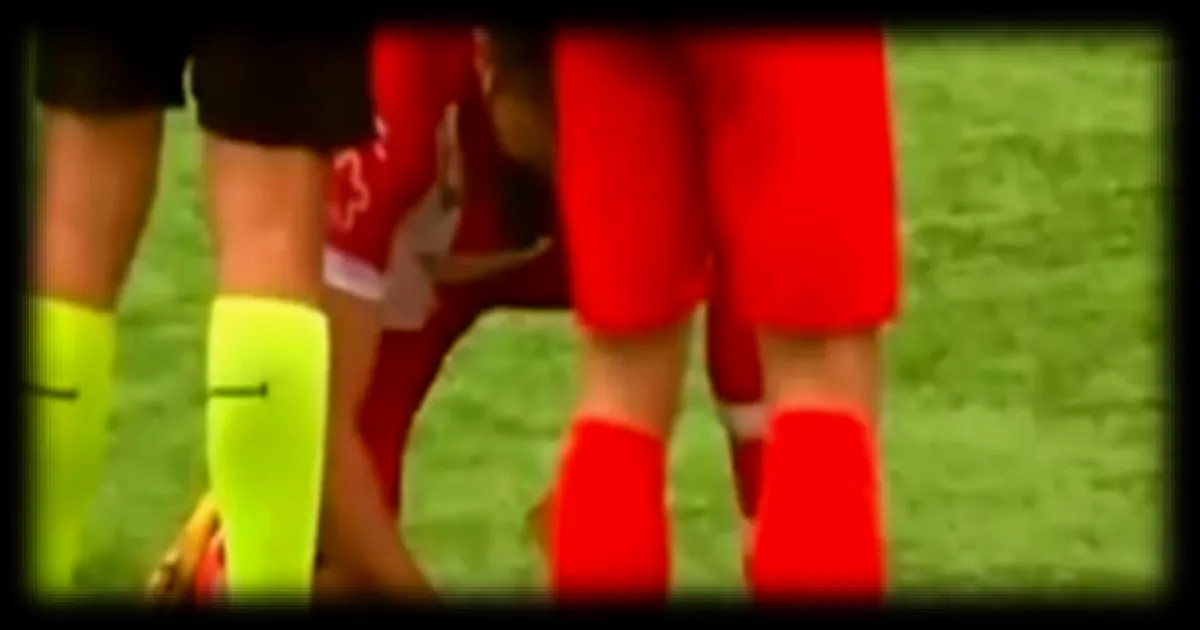 Gani Catan, le joueur turc qui a réanimé une mouette en plein match