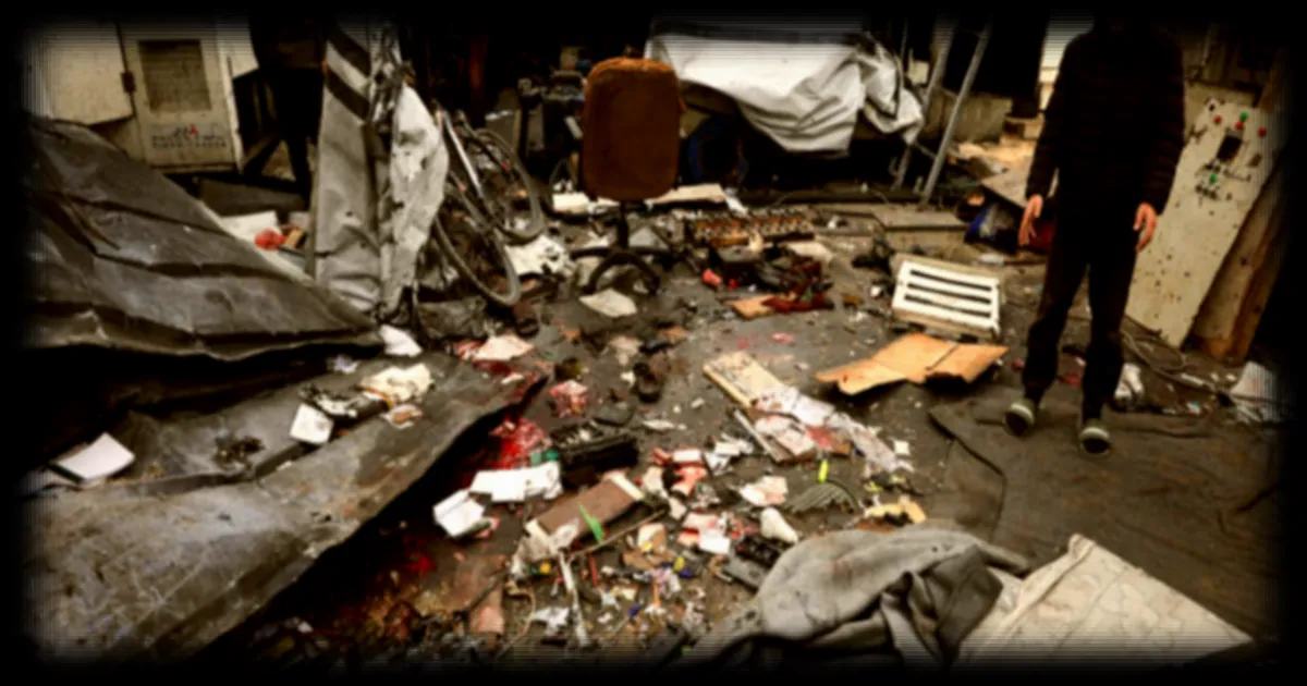 Gaza : la prolifération des rongeurs aggrave les conditions de vie des déplacés sept mois après le cessez-le-feu