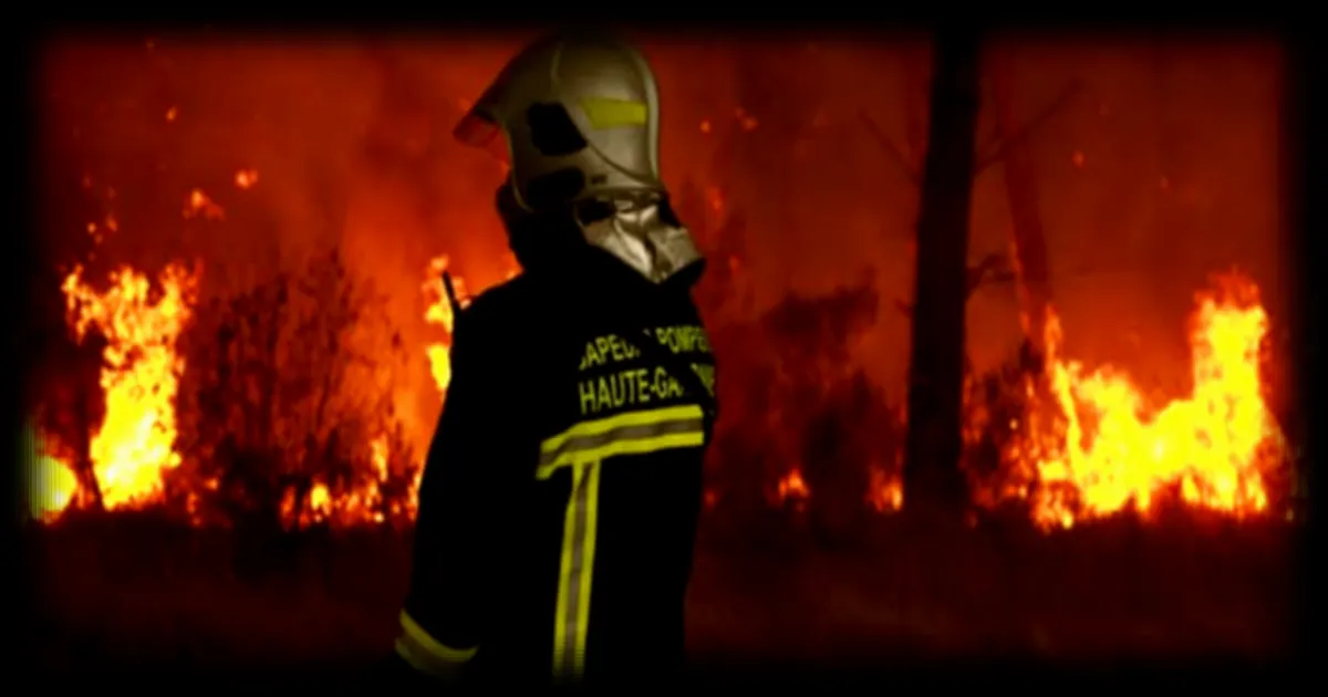 Gironde : plus de 13 000 entreprises évacuées à cause des incendies, un secteur économique durablement fragilisé