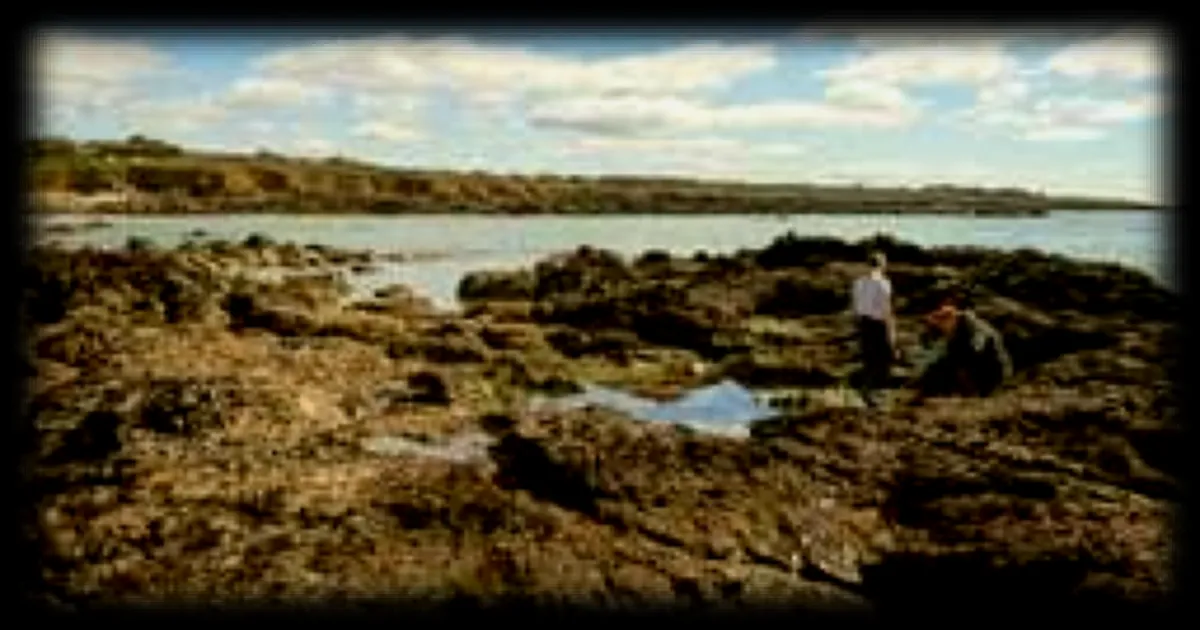 Grandes marées en Finistère : quatre jours pour explorer l’estran et ses secrets