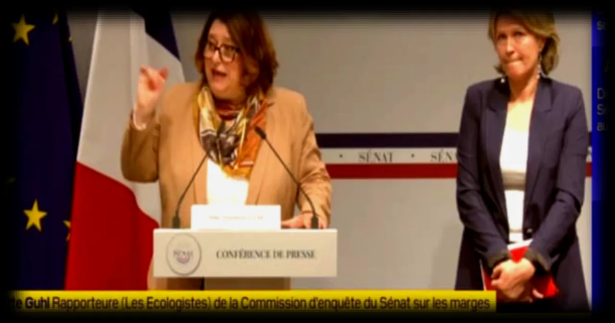 Grandes surfaces : le Sénat dénonce des marges « prédatrices » et met en lumière une « casse sociale »