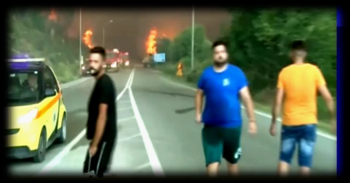 Grèce : des touristes évacués après un nouvel incendie près de Thessalonique