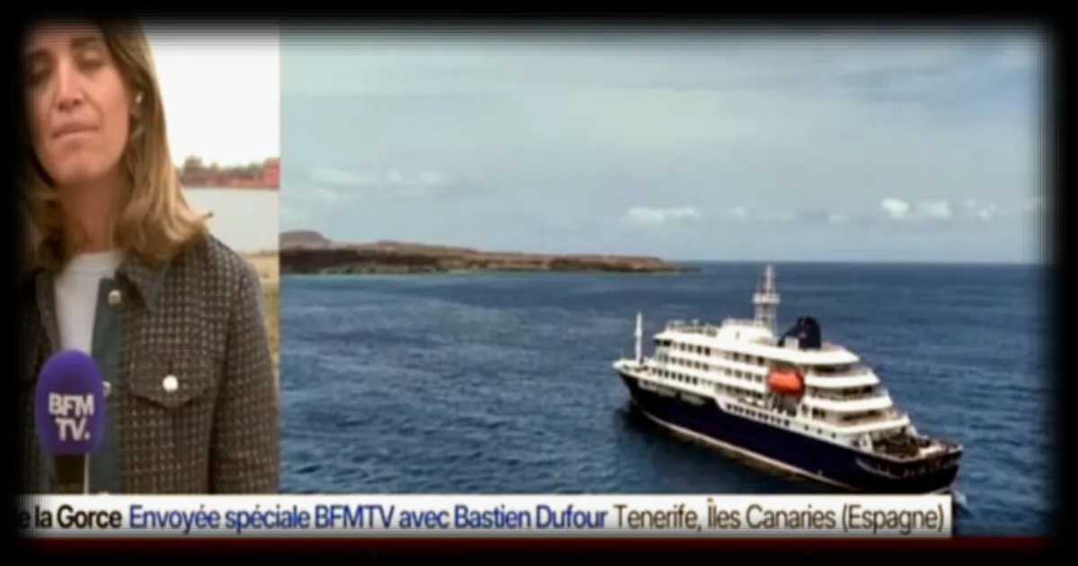Grève des dockers à Tenerife : protestation contre l'arrivée d'un paquebot lié à une alerte au hantavirus