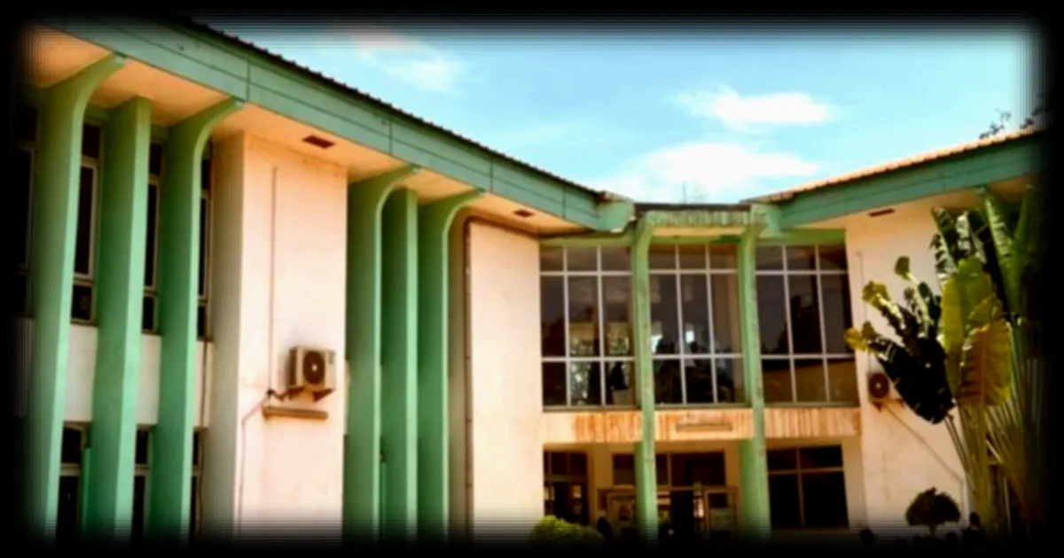 Grève illimitée à la mairie de Bimbo en Centrafrique : les employés réclament 12 mois d’arriérés de salaire