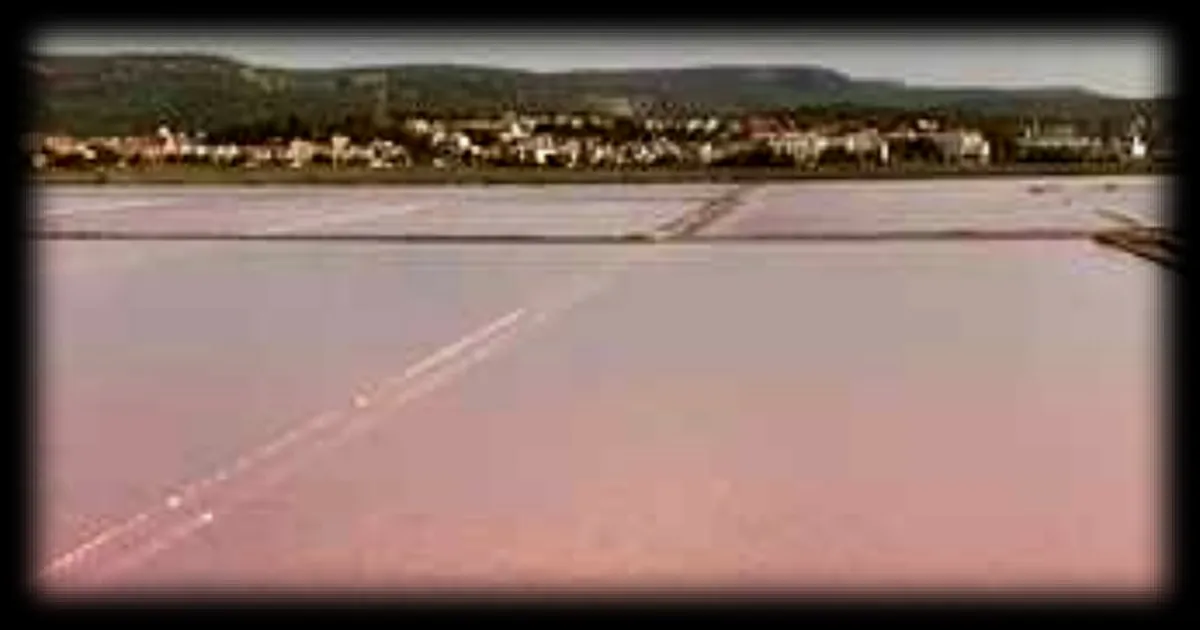 Gruissan : l'histoire du salin rose et de son trésor salé sauvé de la disparition