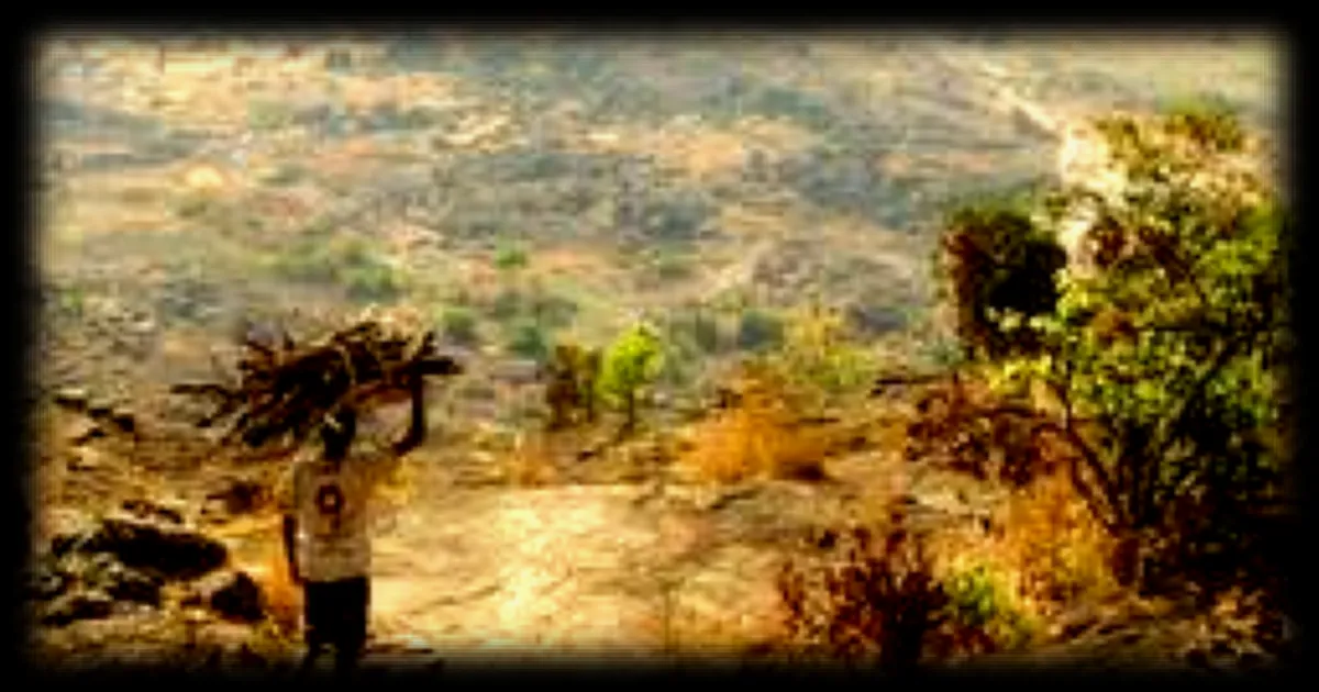 Guinée : au moins onze morts dans l’effondrement d’une mine artisanale dans le nord-est