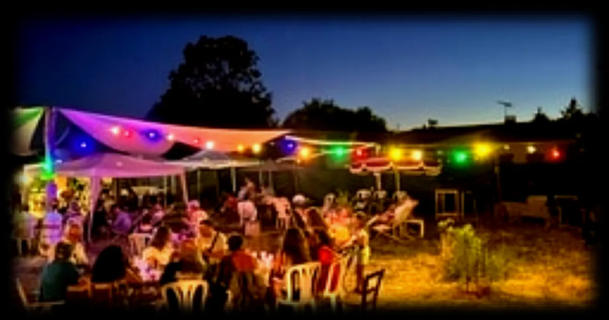 Guinguettes en Vendée : quatre adresses incontournables pour un été musical