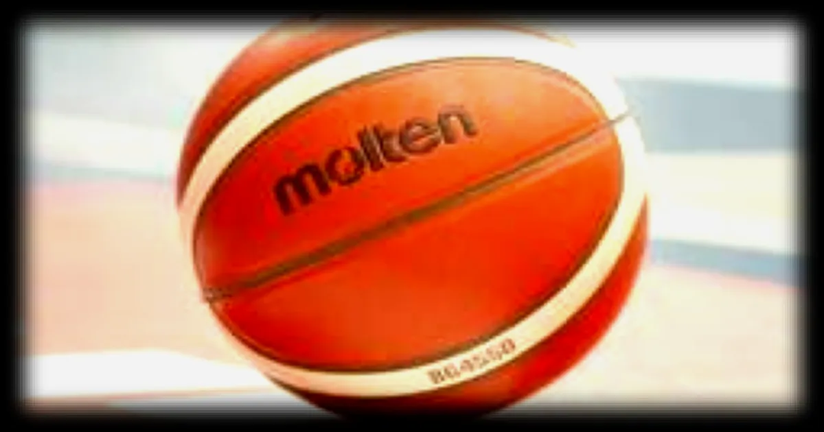 Habib Samb, le jeune phénomène du basket français