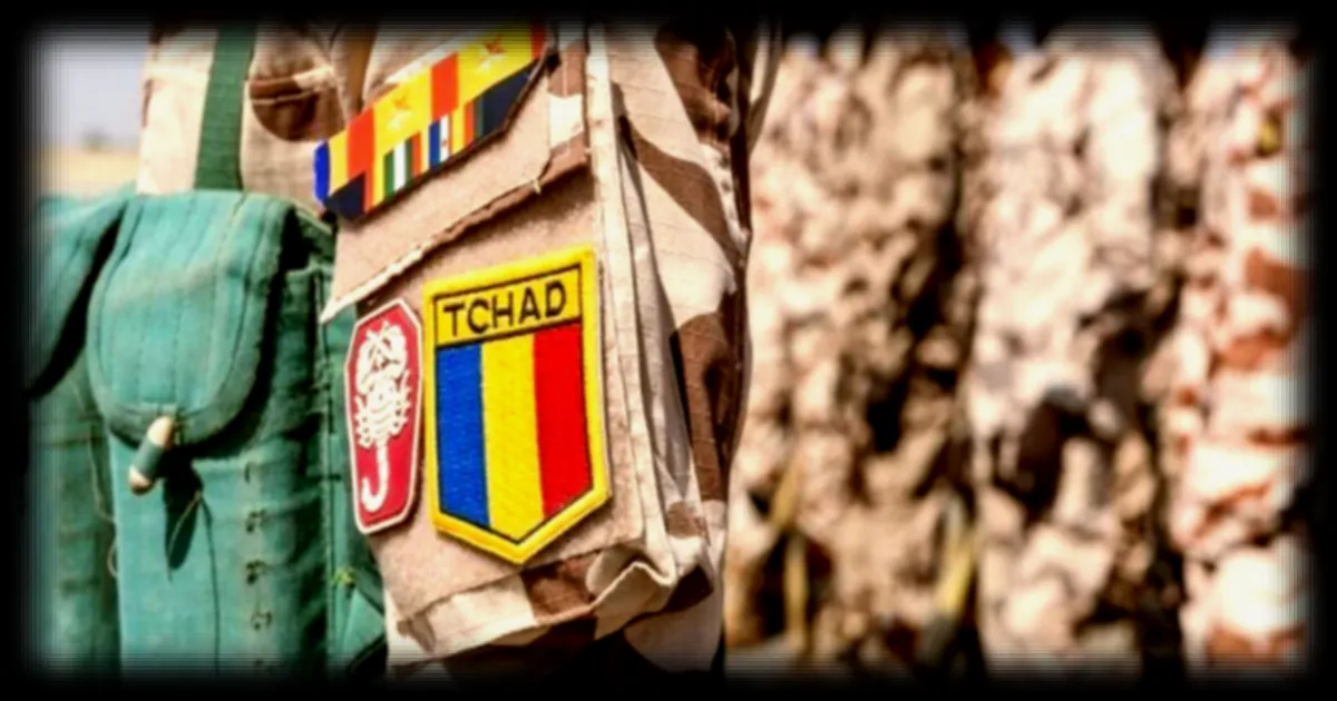 Haïti : la mission de répression des gangs renforcée par l'armée tchadienne