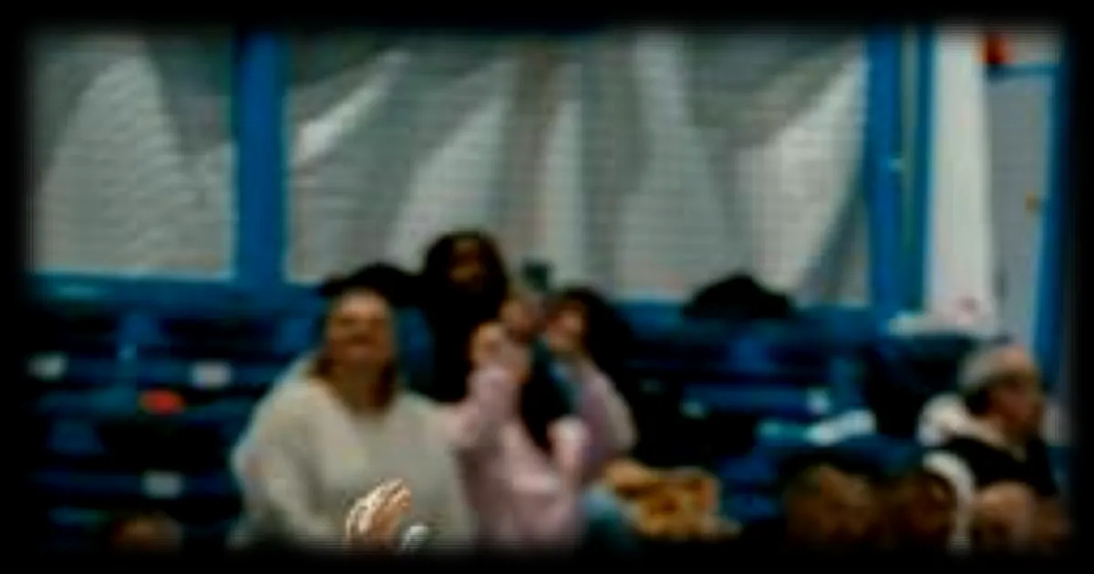 Handball : Mayssa Pessoa, gardienne emblematique de l'Arvor 29, affrontera le BBH quinze ans apres son depart