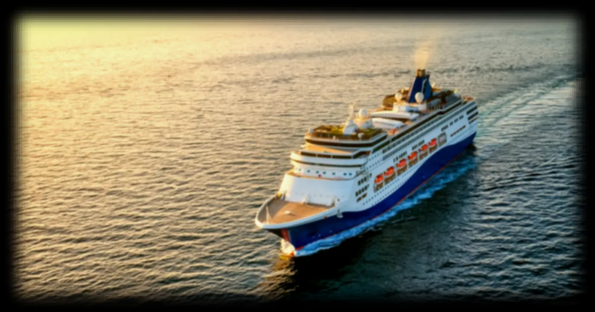 Hantavirus : après l'épidémie sur le MV Hondius, les infectiologues livrent leurs recommandations pour les croisières