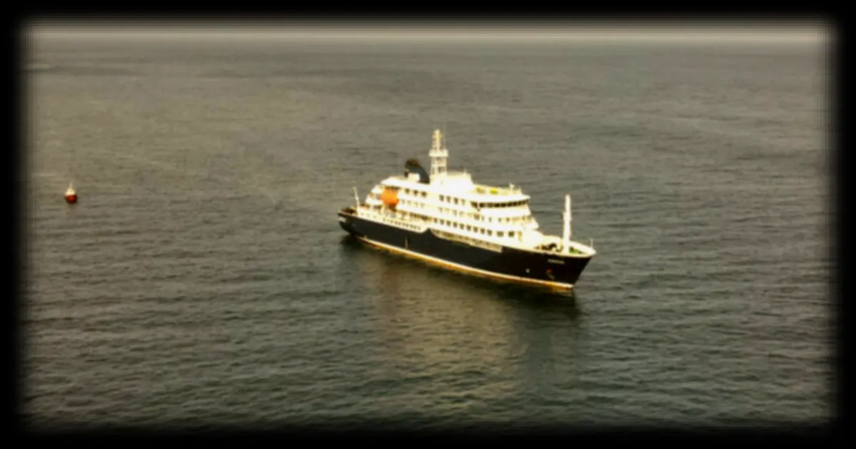 Hantavirus détecté sur un navire de croisière : une souche transmissible entre humains signalée par l'Afrique du Sud