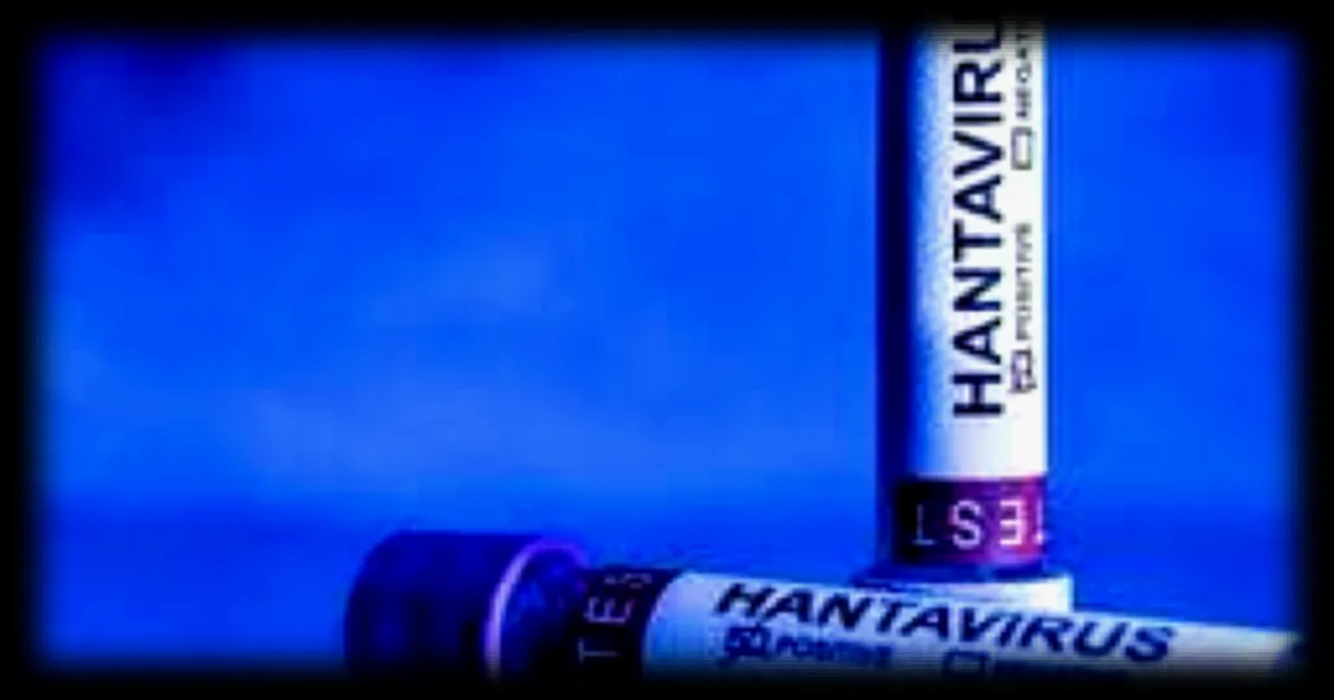 Hantavirus : la DGS publie les recommandations à suivre en cas de symptômes