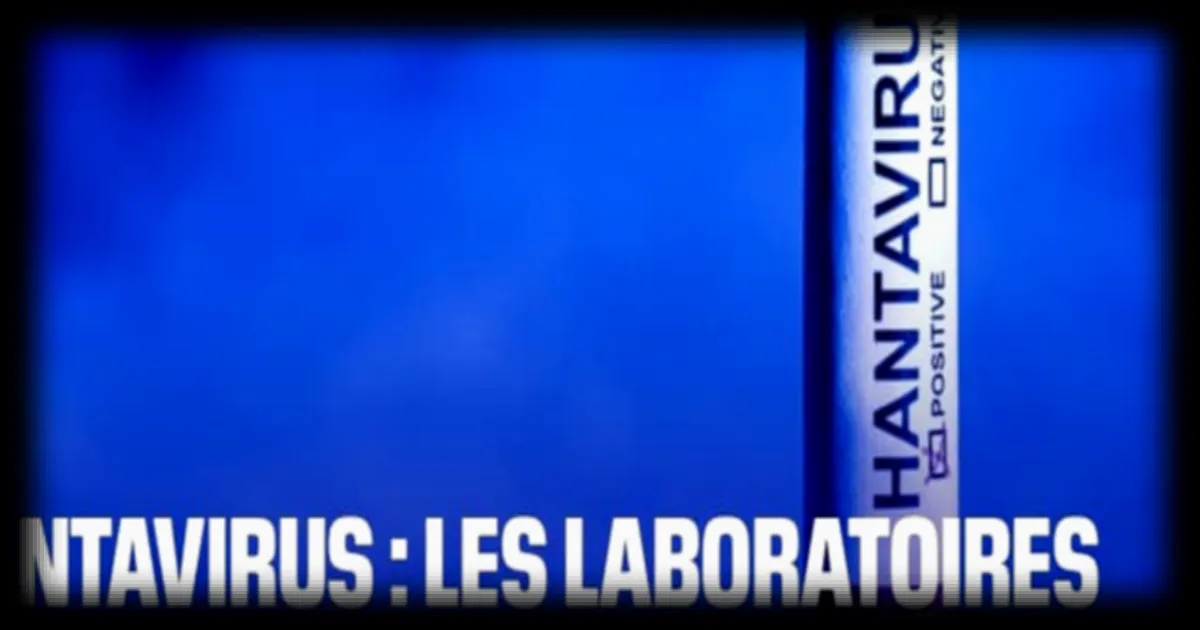 Hantavirus : les laboratoires en quête d’un traitement face à la progression de l’épidémie