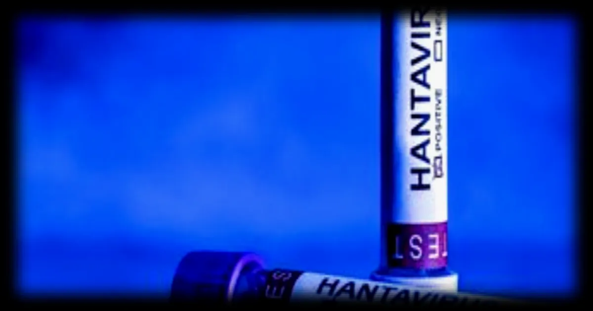 Hantavirus : outbreak, épidémie ou pandémie ? Les experts décryptent les termes pour qualifier la crise actuelle