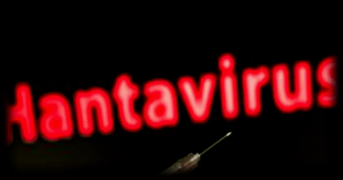Hantavirus : pourquoi une couverture médiatique aussi importante pour un risque jugé faible ?